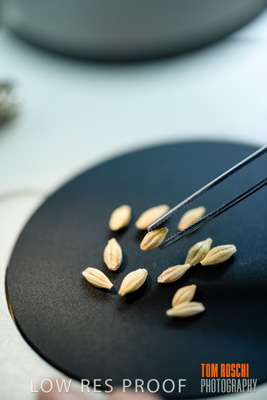 June 2018 / LAB_Microscope_female-male_colaborating_180601_089