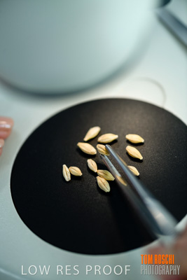 June 2018 / LAB_Microscope_female-male_colaborating_180601_095