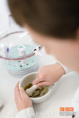 June 2018 / LAB_miscellaneous_180601_006