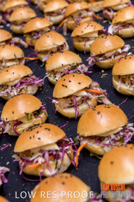 VIterra_Lab_opening_180719_252