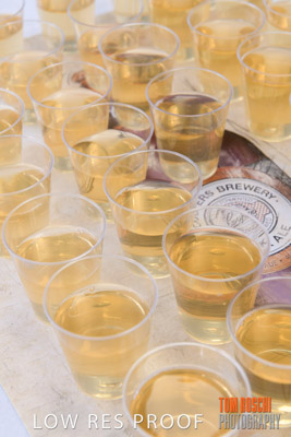 VIterra_Lab_opening_180719_263