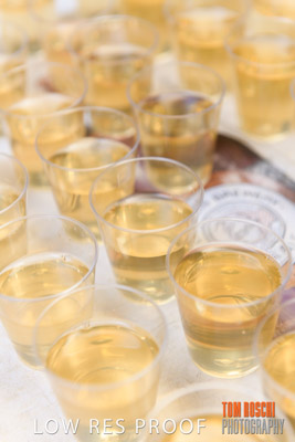 VIterra_Lab_opening_180719_267