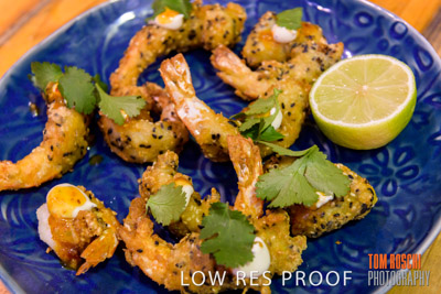 VIterra_Lab_opening_180719_387