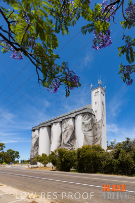 December 2018 / COONALPYN_181210_004