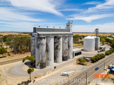 December 2018 / COONALPYN_181210_005