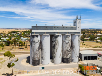 December 2018 / COONALPYN_181210_007