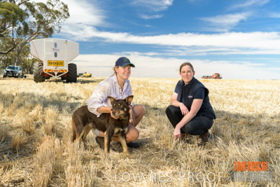 December 2018 / NHIL_181210_015