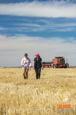 December 2018 / NHIL_181210_019