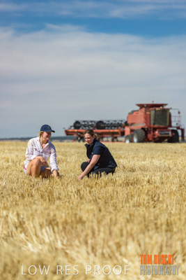 December 2018 / NHIL_181210_027