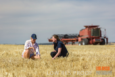 December 2018 / NHIL_181210_029