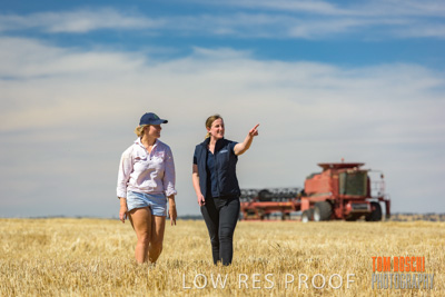 December 2018 / NHIL_181210_033