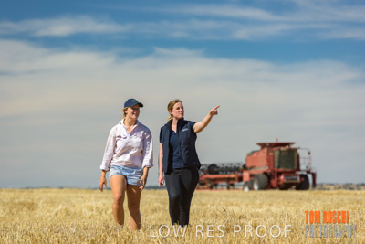 December 2018 / NHIL_181210_034