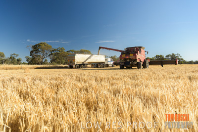 December 2018 / NHIL_181210_062