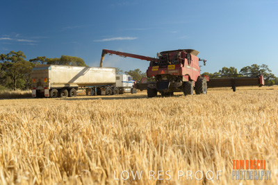 December 2018 / NHIL_181210_063