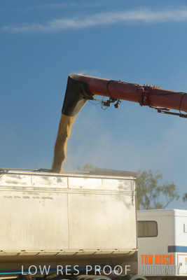 December 2018 / NHIL_181210_066