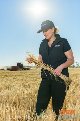 December 2018 / NHIL_181210_071