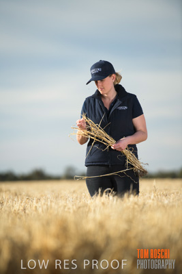 December 2018 / NHIL_181210_074