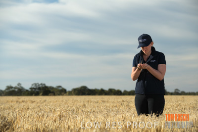 December 2018 / NHIL_181210_080