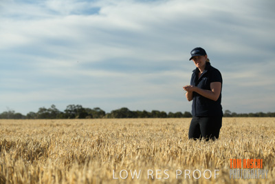 December 2018 / NHIL_181210_081