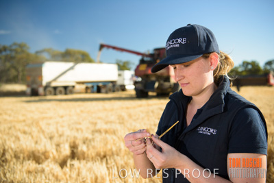 December 2018 / NHIL_181210_091