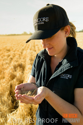 December 2018 / NHIL_181210_094