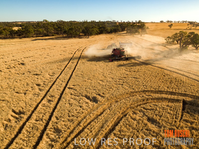 December 2018 / NHIL_181210_108