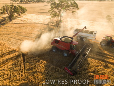 December 2018 / NHIL_181210_109