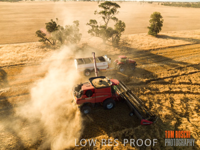 December 2018 / NHIL_181210_111