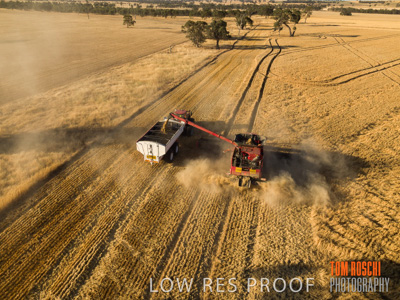 December 2018 / NHIL_181210_114