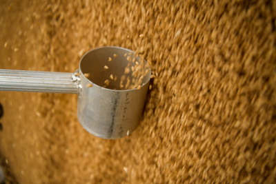 April 2019 / TRUCK_UNLOADING_190401_031