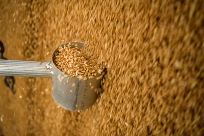 April 2019 / TRUCK_UNLOADING_190401_032