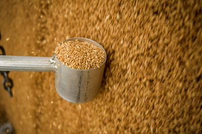 April 2019 / TRUCK_UNLOADING_190401_033