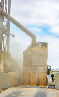 April 2019 / TRUCK_UNLOADING_190401_181