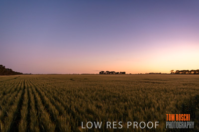 October 2019 / ROSEWORTHY_SA_191018-0001