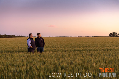 October 2019 / ROSEWORTHY_SA_191018-0003