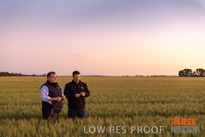 October 2019 / ROSEWORTHY_SA_191018-0006