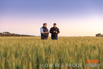 October 2019 / ROSEWORTHY_SA_191018-0020