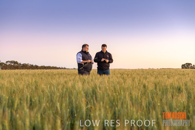 October 2019 / ROSEWORTHY_SA_191018-0021