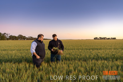 October 2019 / ROSEWORTHY_SA_191018-0028