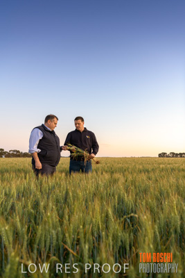 October 2019 / ROSEWORTHY_SA_191018-0040