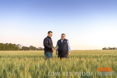 October 2019 / ROSEWORTHY_SA_191018-0045