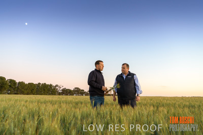 October 2019 / ROSEWORTHY_SA_191018-0047