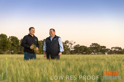 October 2019 / ROSEWORTHY_SA_191018-0067