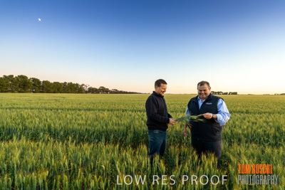 October 2019 / ROSEWORTHY_SA_191018-0072