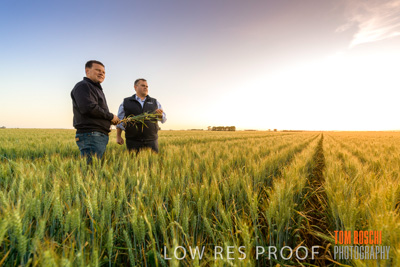 October 2019 / ROSEWORTHY_SA_191018-0075