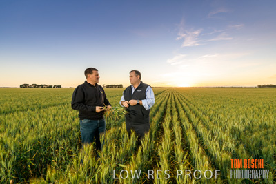 October 2019 / ROSEWORTHY_SA_191018-0077