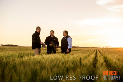 October 2019 / ROSEWORTHY_SA_191018-0082