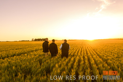 October 2019 / ROSEWORTHY_SA_191018-0112