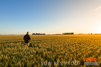 October 2019 / ROSEWORTHY_SA_191018-0190