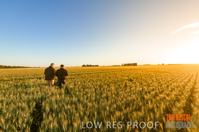 October 2019 / ROSEWORTHY_SA_191018-0201